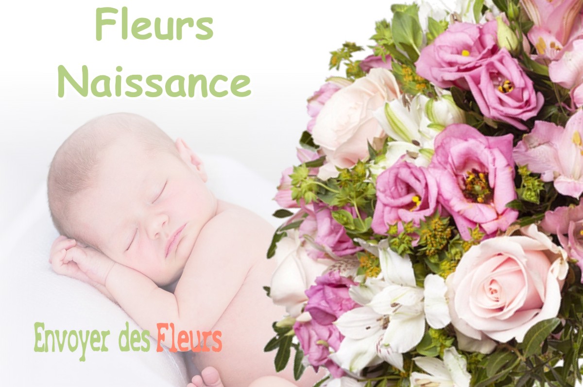 lIVRAISON FLEURS NAISSANCE à ANTICHAN-DE-FRONTIGNES